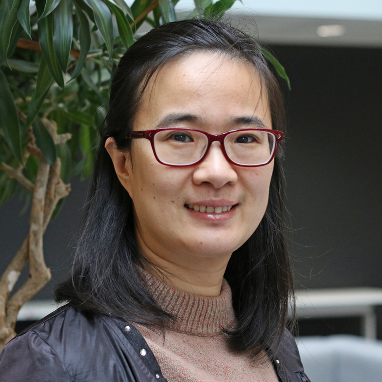 Lin Wang